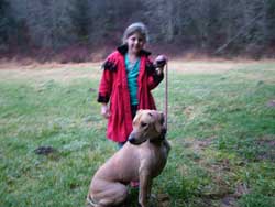 You must learn how to train your ridgeback puppy properly. Love Your Ridgeback