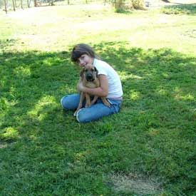 Love Your Ridgeback Love Your Ridgeback