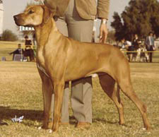 CH Calico Ridge California Blue-King Khufu Grandsire