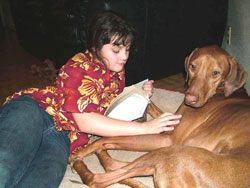 Love Your Ridgeback Love Your Ridgeback