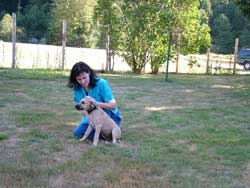 The more time you spend with your puppy the better trained he or she will be. Love Your Ridgeback