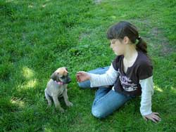 Spend quality time with your puppy. Love Your Ridgeback