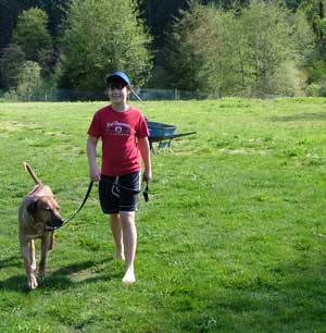 Love Your Ridgeback Love Your Ridgeback
