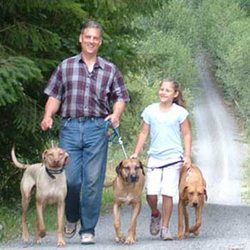 ApacheRidge Ranch Rhodesian Ridgeback Dogs and Ridgeback Puppies who are happy, healthy, and love to hike, run, and play in Washington are available now.